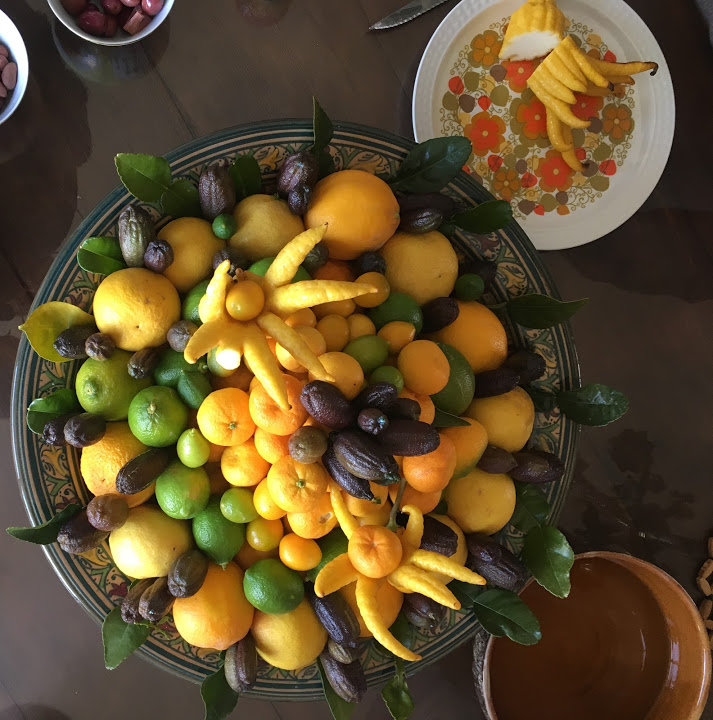 UNITED FRUITS OF TERRA CITRUS